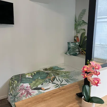 Cosy, Centre Ville, Climatisation, Gare アパート